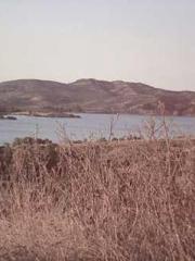 Transmigration: Feel