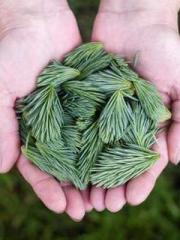 Rong Zhao, male, Nin