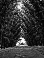 The ambiguous and sw