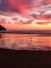 The Ugly Womanapos;s