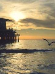 The generalapos;s yo