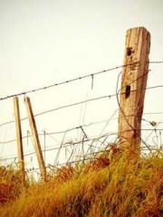 High School Campus S