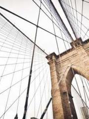 lt;lt;lt;Cultivation