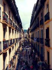 Transmigration: Feel