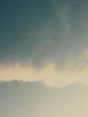 Ling Hao Qin Yuxin R