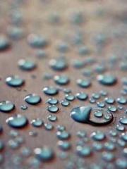 Chen Pingapos;an and