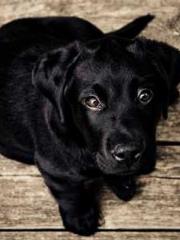 lt;lt;lt;Reborn Soar