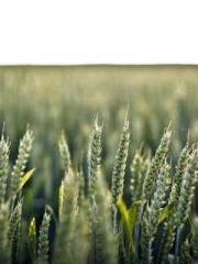 lt;lt;Legend of Yunx