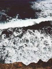 Retired War God Yang