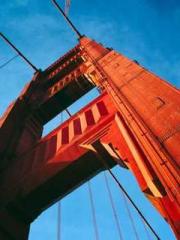 The Hardships of a D