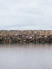 The  Princess  Rebor