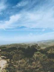 Two Treasures Arrive