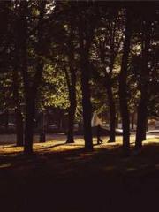 Fast Travel: The Vil