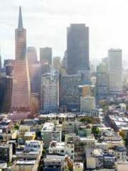 Two Treasures Arrive