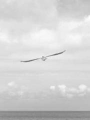 lt;lt;Legend of Yunx