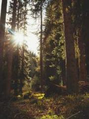 Rong Shao Nan Ning Y