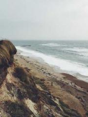 Transmigration: Feel