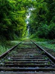 The Beloved Physicia