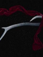 Eternal Sword Ancest