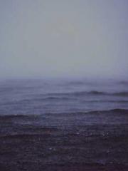 Professor Yan is goi