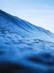 Eternal Sword Ancest