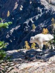 Fast Travel: The Vil