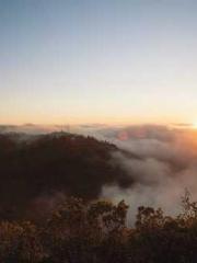 The Realm of the Dao