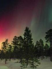 Shen Ning Ran Bao Ji