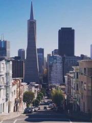 Rebirth of the Urban