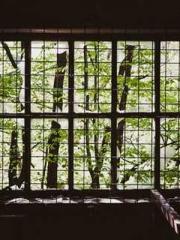 The Taoist nun was f