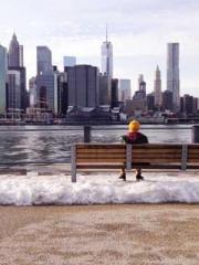 lt;Diga: From Jetton