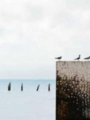 Transmigration: Feel