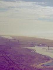 Spring fills Beijing